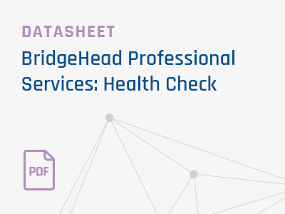 BridgeHead-Professional-Services-Health-Check