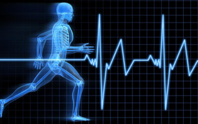 Sports Medicine: Health IT’s New Digital Frontier