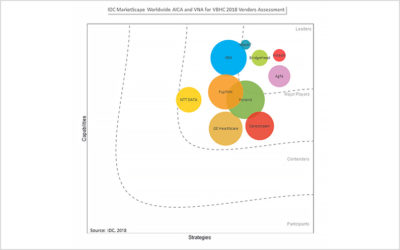 IDC Names BridgeHead’s HealthStore® As A Leader In The  AICA / VNA Market